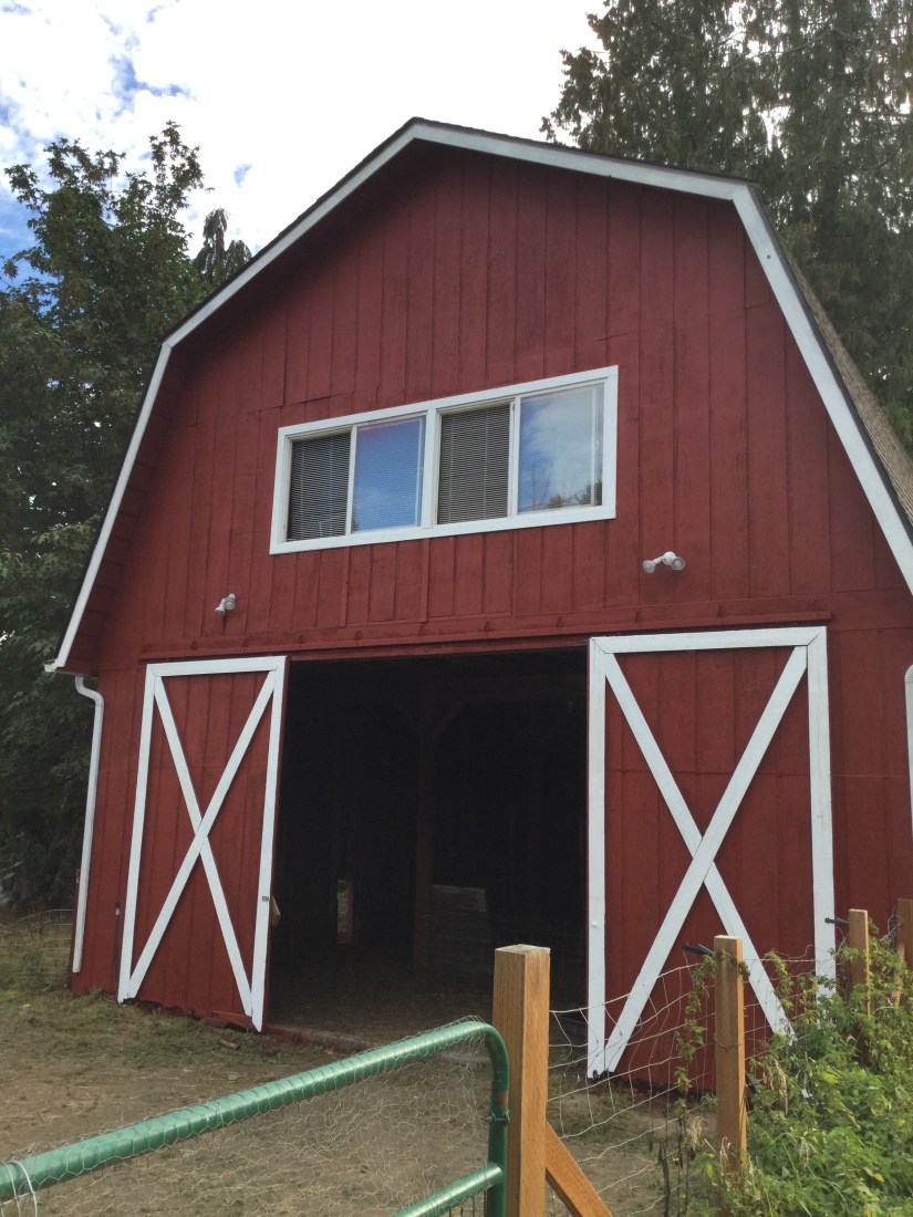 e93a2e8a-b564-4823-b4da-a20c74c1ea2c